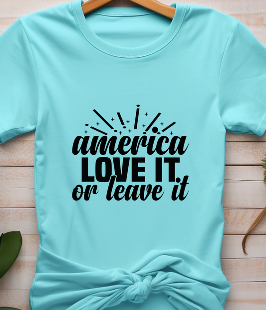 America Love it or Leave it - DTF Transfer