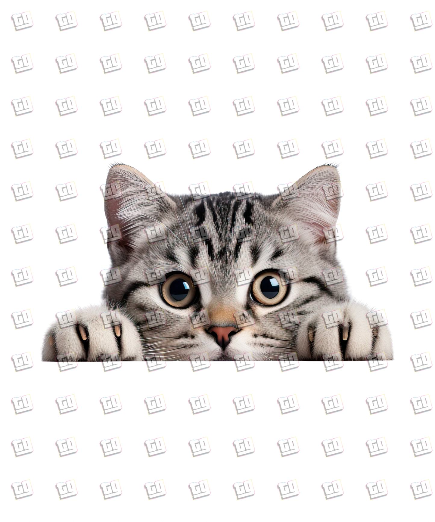 American Shorthair Cat Peeking - Cat - DTF Transfer