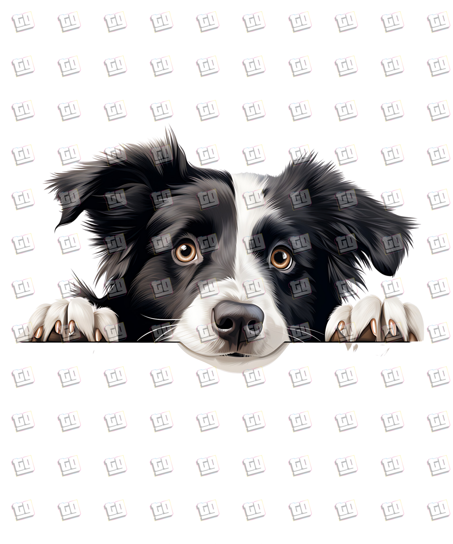 Border Collie Dog Peeking - Dog - DTF Transfer