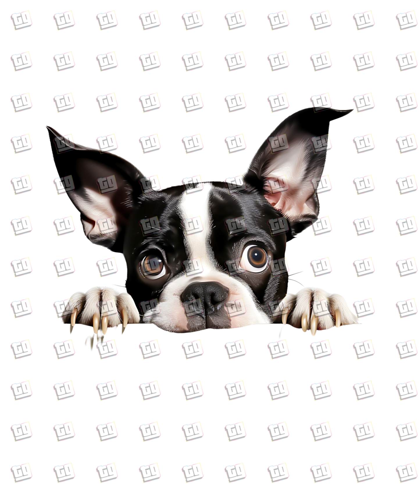 Boston Terrier Dog Peeking - Dog - DTF Transfer