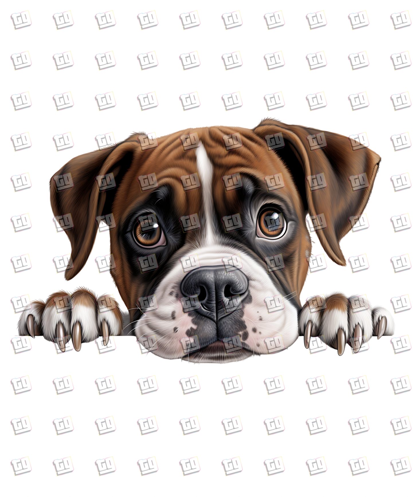 Boxer Dog Peeking - Dog - DTF Transfer