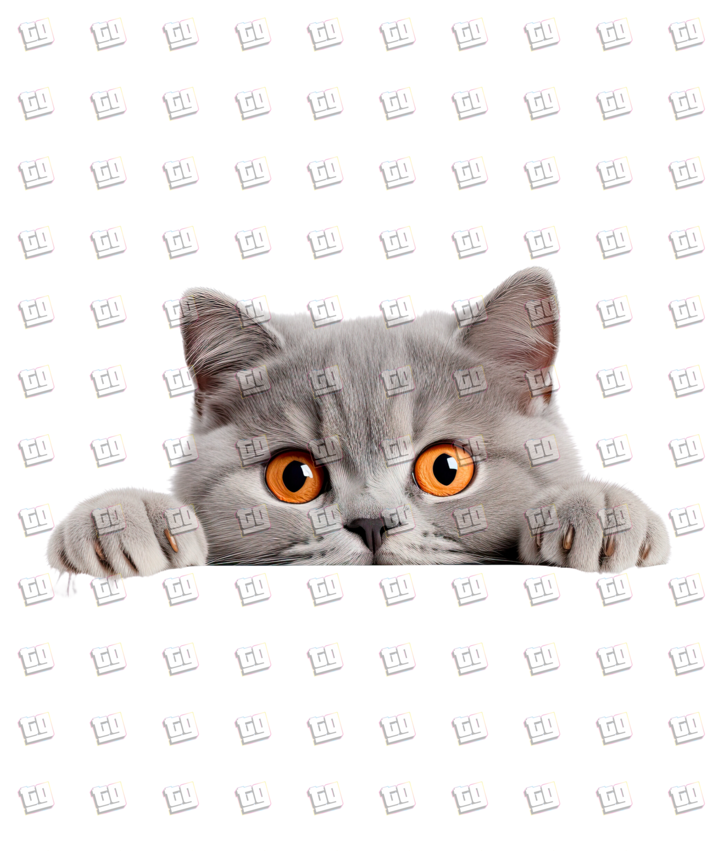 British Shorthair Cat Peeking - Cat - DTF Transfer