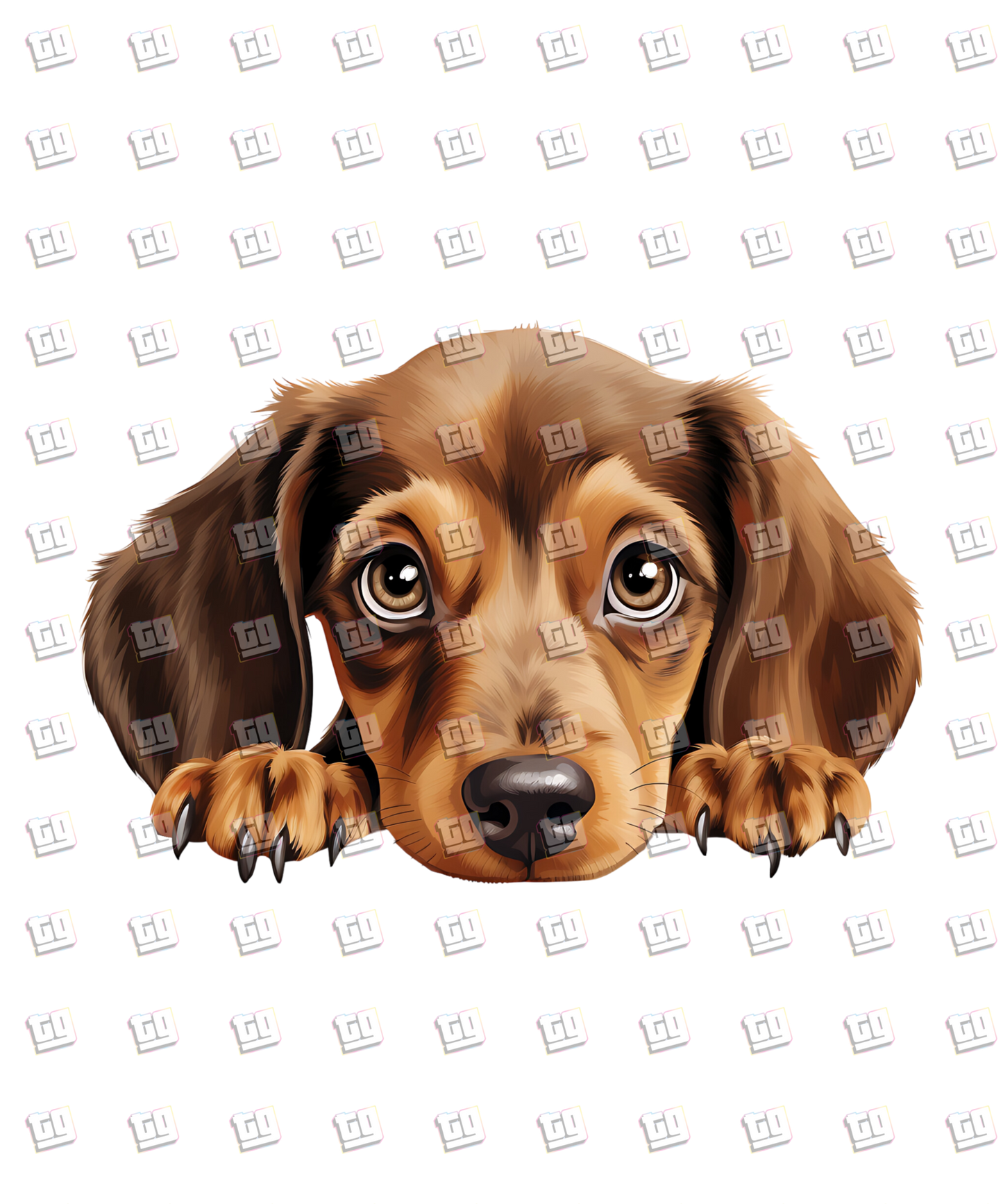 Dachshund Dog Peeking - Dog - DTF Transfer