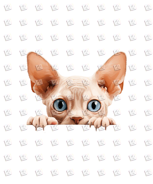 Devon Rex Cat Peeking - Cat - DTF Transfer