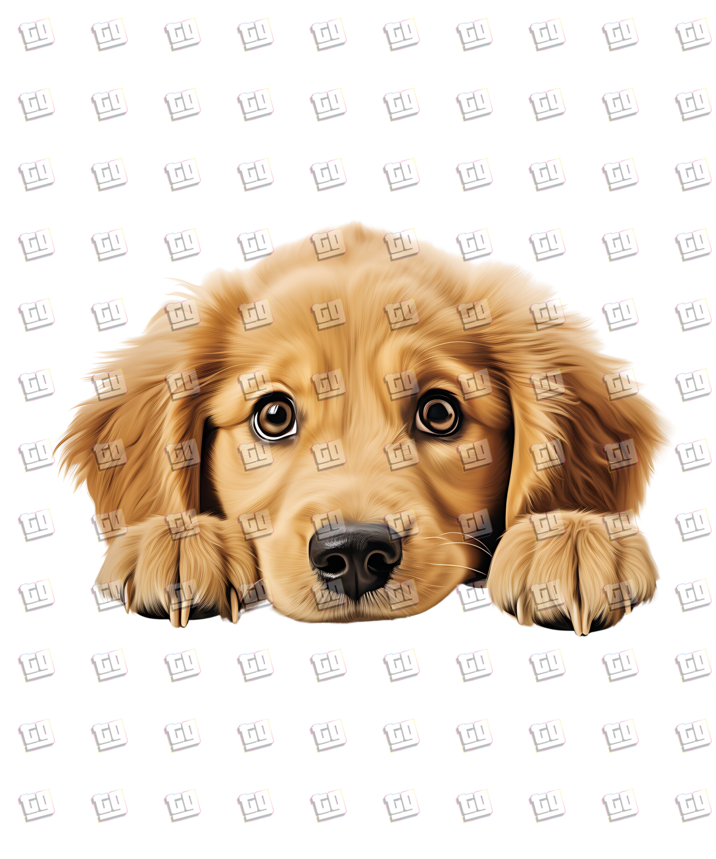 Golden Retriever Dog Peeking - Dog - DTF Transfer