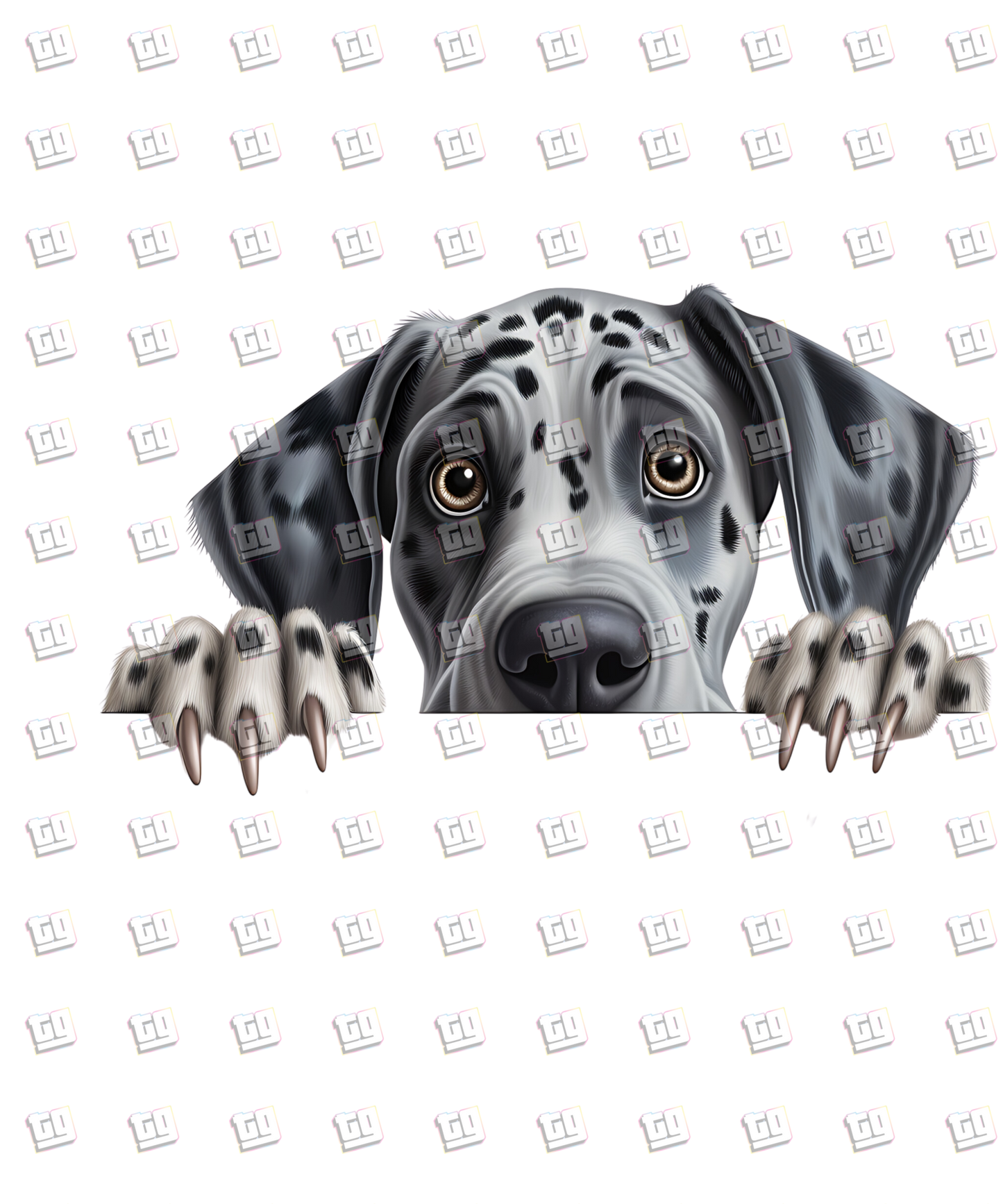 Great Dane Dog Peeking - Dog - DTF Transfer