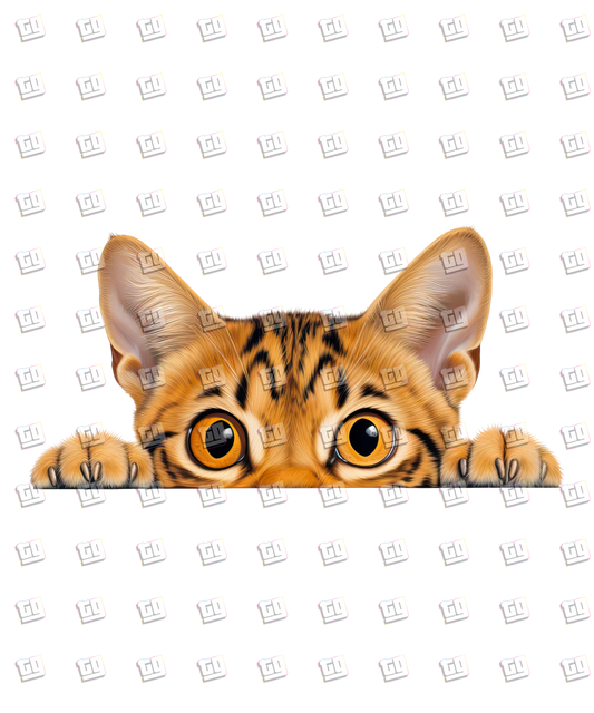 Ocicat Cat Peeking - Cat - DTF Transfer