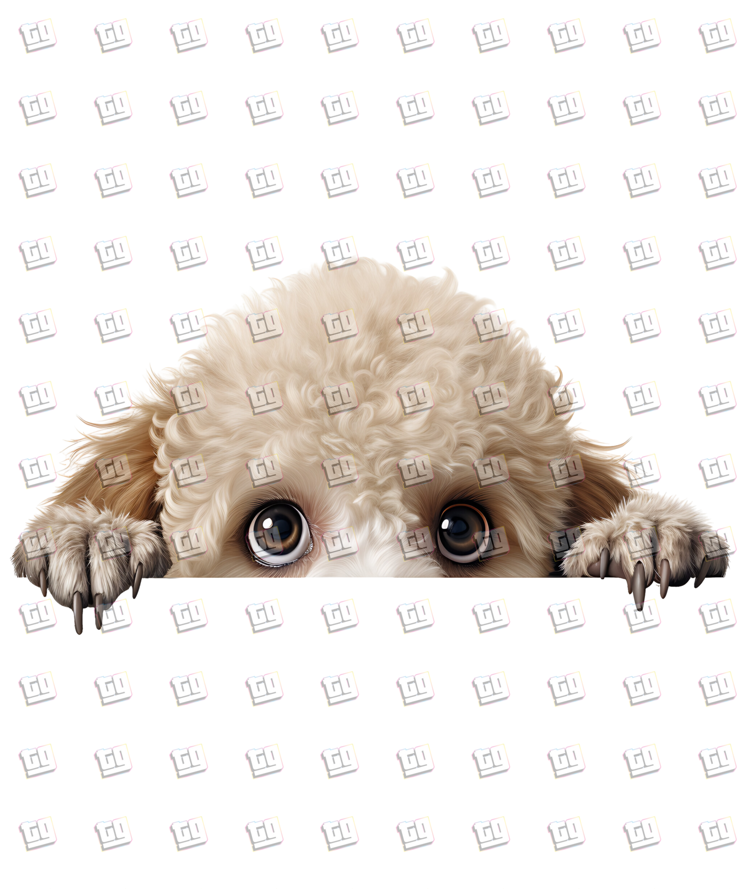 Poodle Dog Peeking - Dog - DTF Transfer