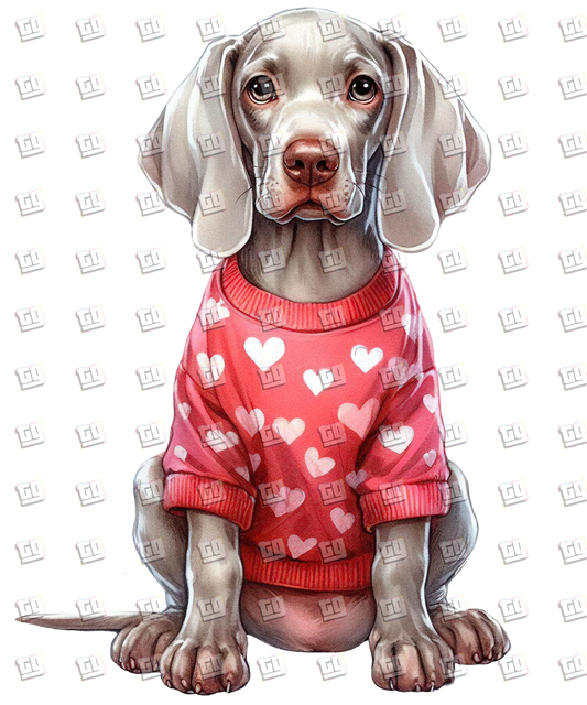 Puppy With Red Sweater (Hearts) V7 - Valentines - DTF Transfer