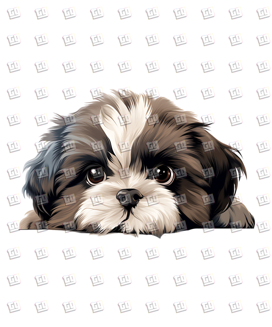 Shih Tzu Dog Peeking - Dog - DTF Transfer