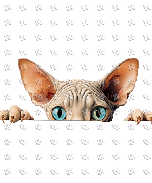 Sphinx Cat Peeking - Cat - DTF Transfer